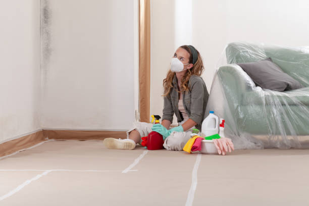 Reliable Mold Removal contractor in Leonardtown, MD by WQB Mold Removal